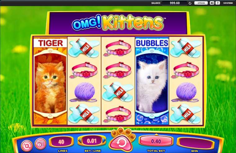 Play OMG! Kittens slot