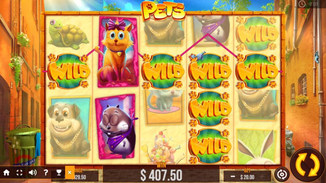 Pets
