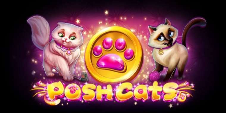Play Posh Cats slot