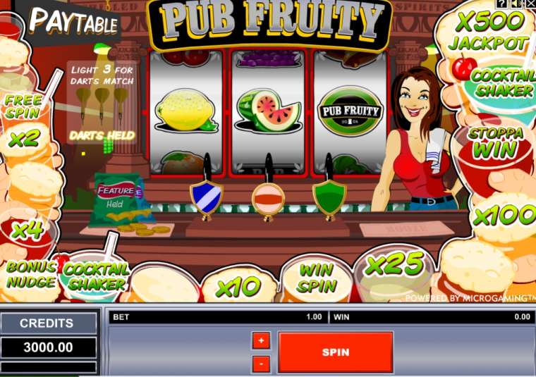 Play Pub Fruity slot
