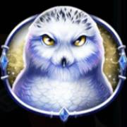 Queen of Ice: Owl