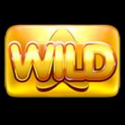 Wild symbol in Reel Rush 2 slot
