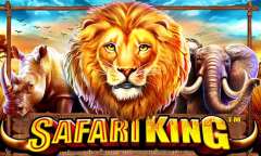 Play Safari King