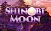 Shinobi Moon slot