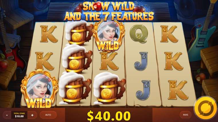 Play Snow Wild and the 7 Features slot