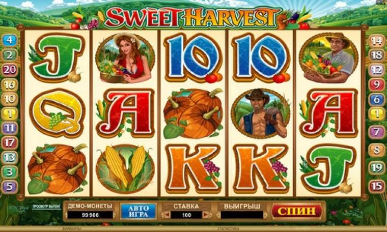 Play Sweet Harvest slot