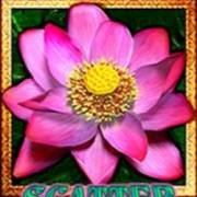 Thai Flower Megaways: Scatter