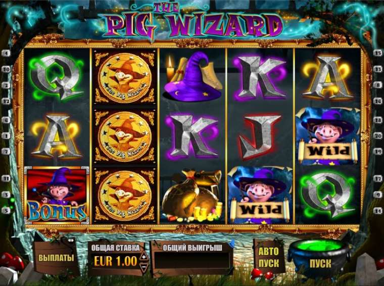 Play The Pig Wizard slot
