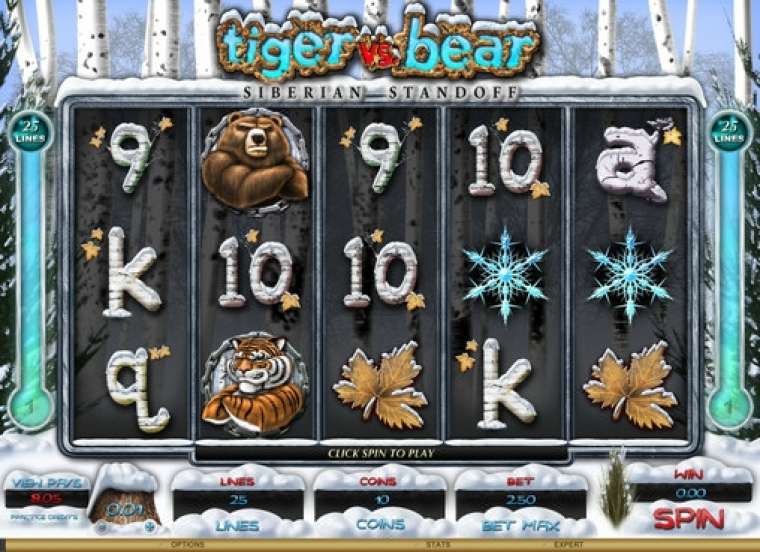 Play Tiger vs. Bear – Siberian Standoff slot