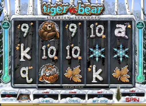 Tiger vs. Bear – Siberian Standoff