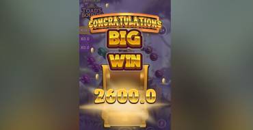 Toad’s Bounty: Winnings