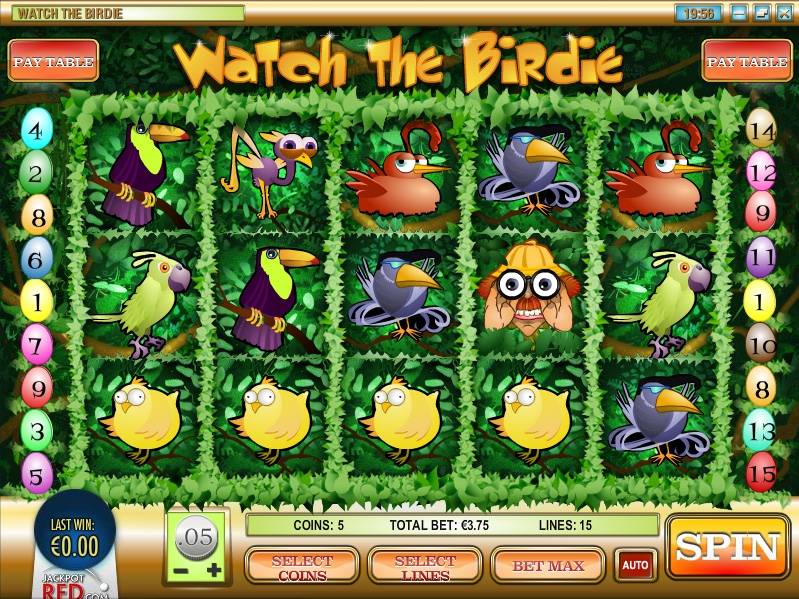 Watch the Birdie