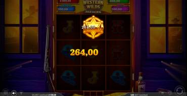 Western Wilds Hold & Win: Winnings