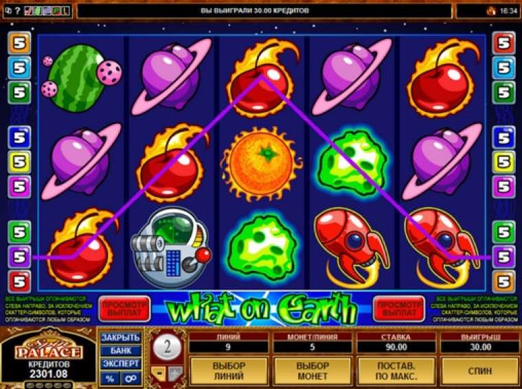 Play What on Earth slot