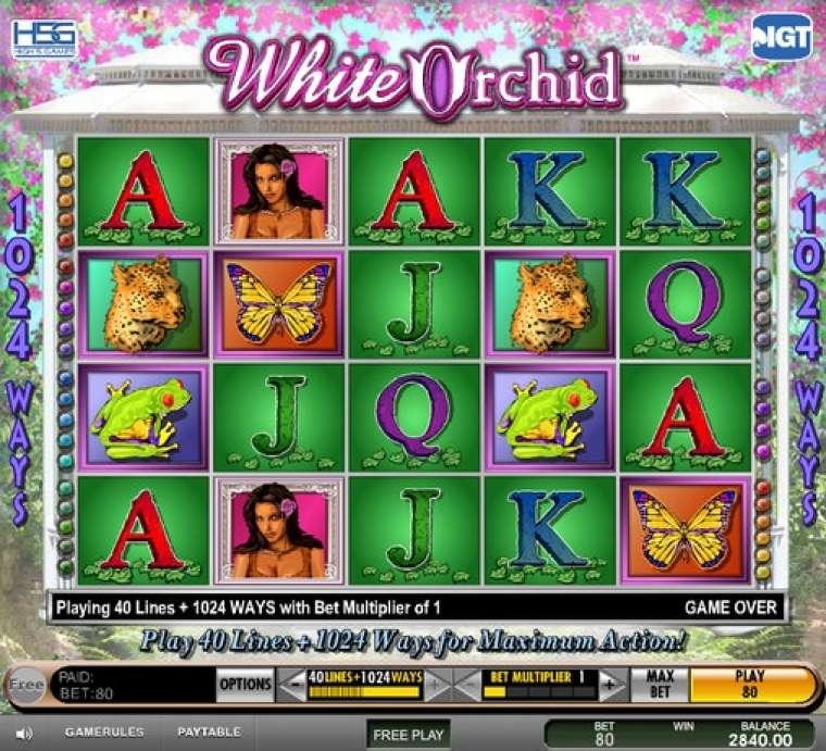 White Orchid Casino Game