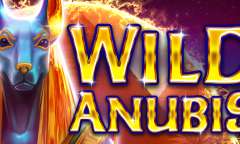 Play Wild Anubis