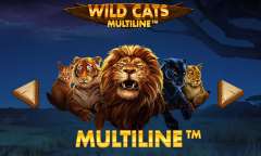 Play Wild Cats Multiline