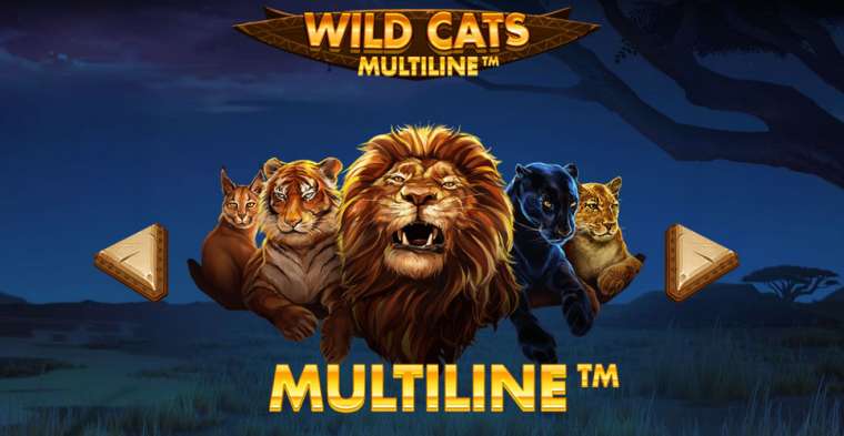 Play Wild Cats Multiline slot