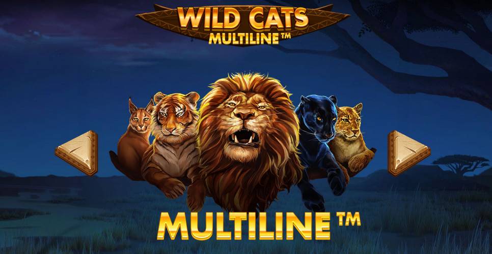 Wild Cats Multiline