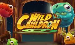 Play Wild Cauldron