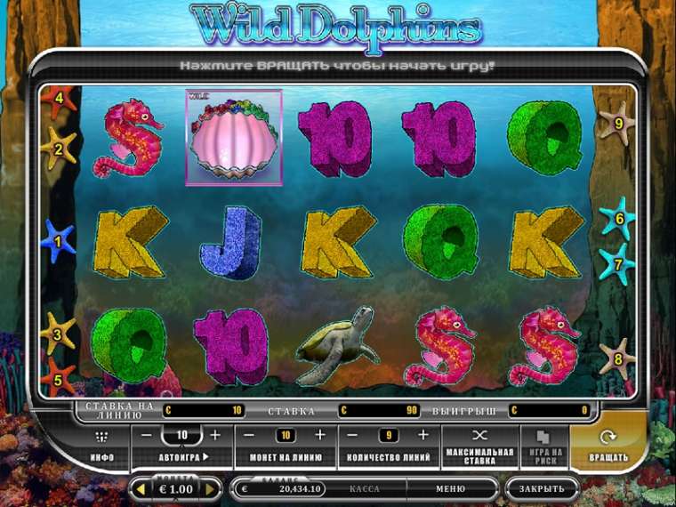 Play Wild Dolphins slot