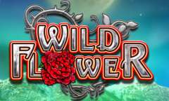Play Wild Flower