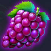 Wild Fruit Super Wheel: Vinogdar