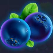 Wild Fruit Super Wheel: Blueberries