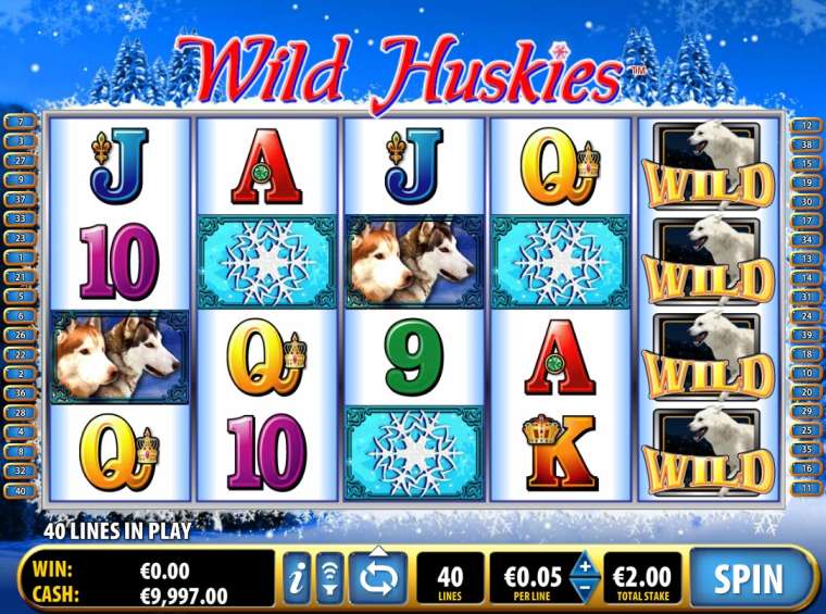 Play Wild Huskies slot