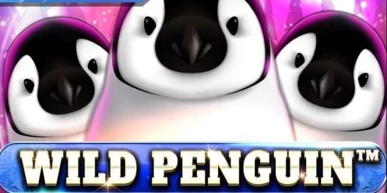 Play Wild Penguin slot