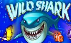 Play Wild Shark