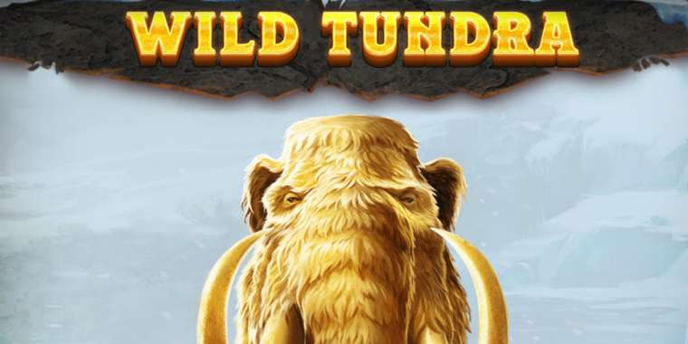 Play Wild Tundra slot