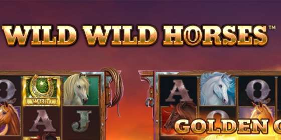Wild Wild Horses (Stakelogic)