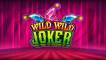 Wild Wild Joker slot