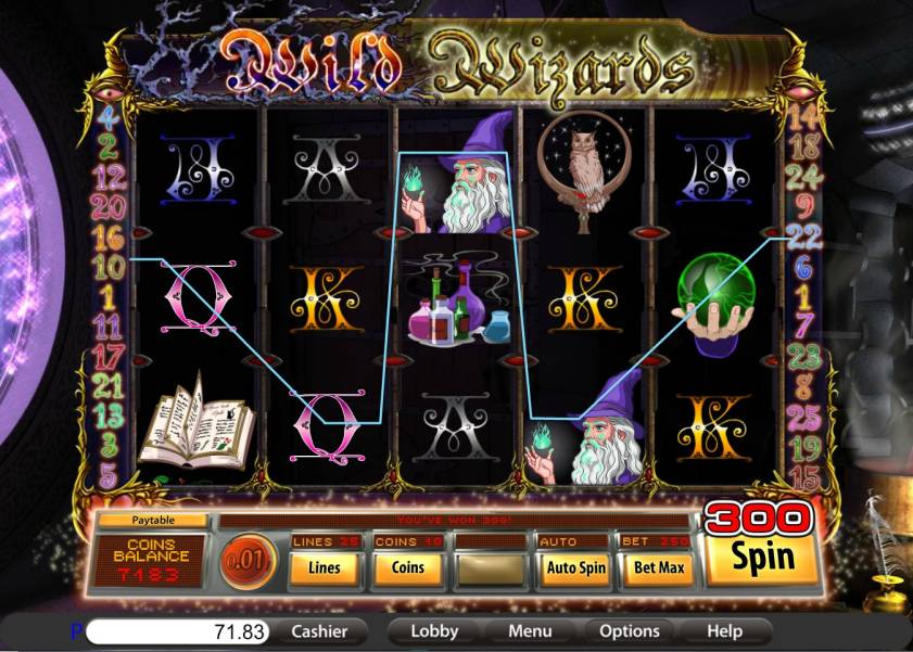 Wild Wizards