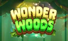 Play Wonder Woods