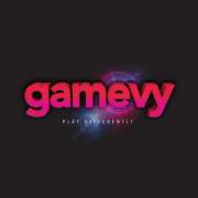 Gamevy Provider