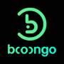 Booongo Provider
